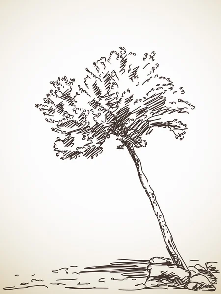 オリーブの木の描かれたイラストを手します。 — ストックベクタ