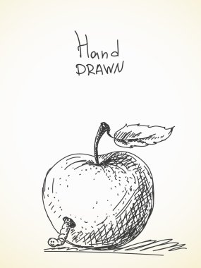 Solucan ve apple kroki