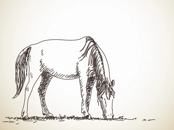 Sketch of pasturing horse — 图库矢量图片