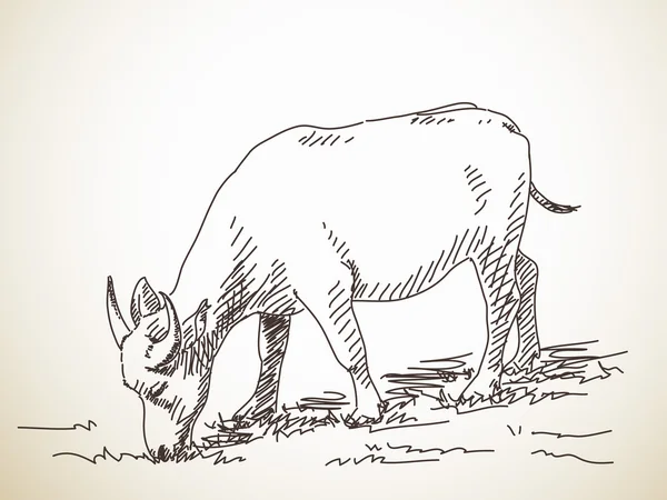 Asian Buffalo sketch — Stockový vektor