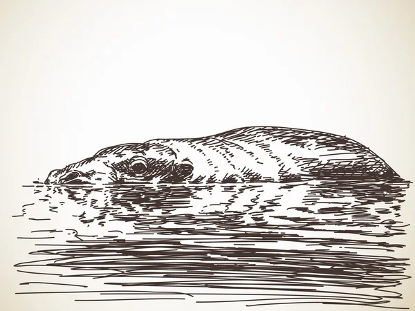 Pygmy Hippo in water — Stockvector