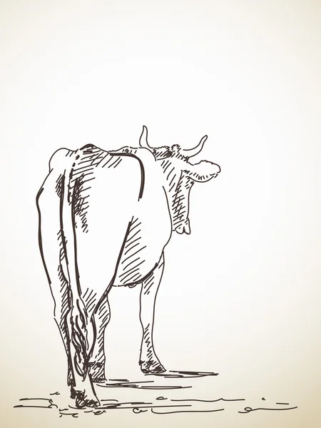 Croquis de vache debout — Image vectorielle