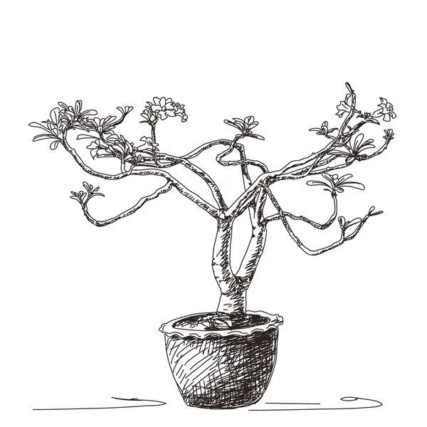 Flor pequeño árbol en maceta de arcilla — Vector de stock