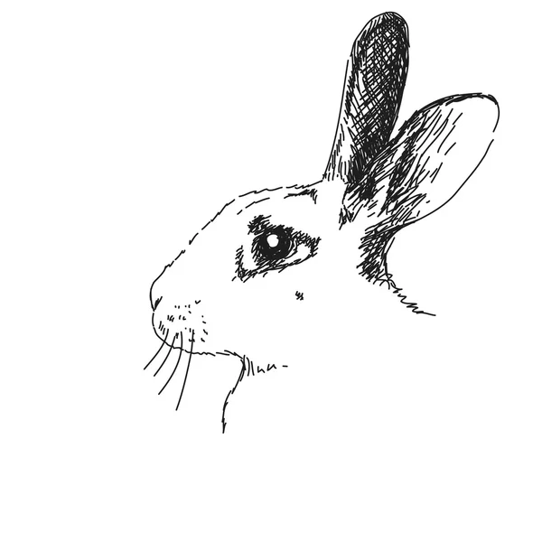 Retrato de coelho com olho grande — Vetor de Stock