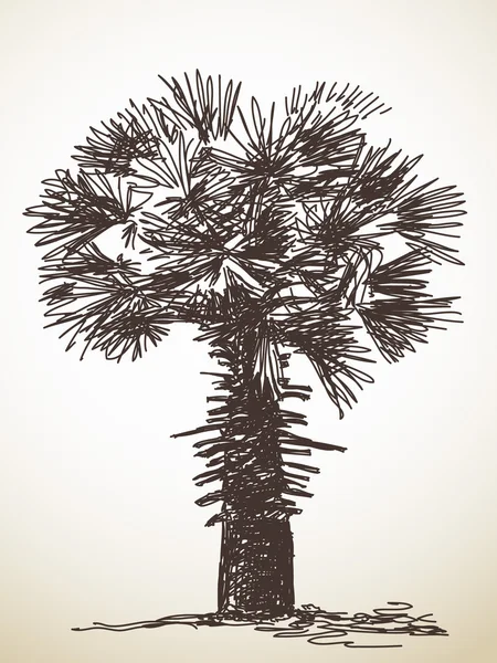 Palm boom schets — Stockvector