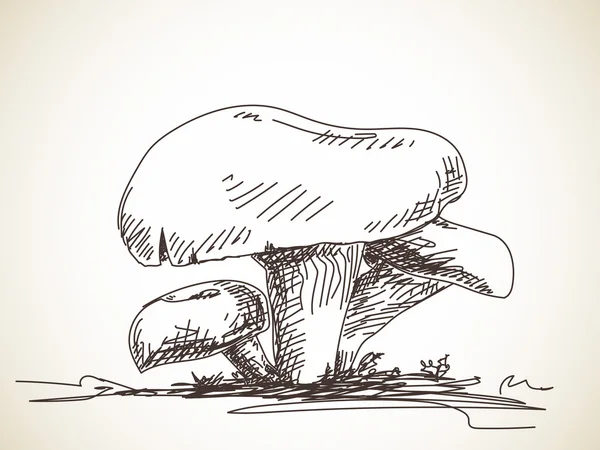 Esboço de cogumelos frescos — Vetor de Stock