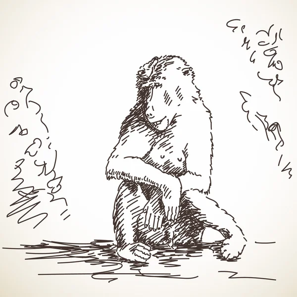 Σκίτσο του μπαμπουίνος αρσενικό — Διανυσματικό Αρχείο