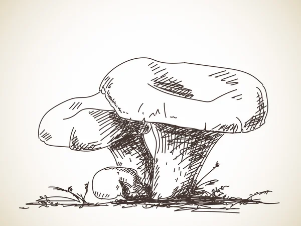 Schizzo di funghi biologici — Vettoriale Stock