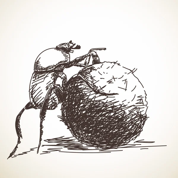 Эскиз навозного жука — стоковый вектор