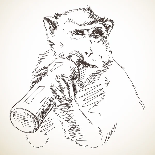 Μαϊμού που πίνει νερό από το μπουκάλι — Διανυσματικό Αρχείο