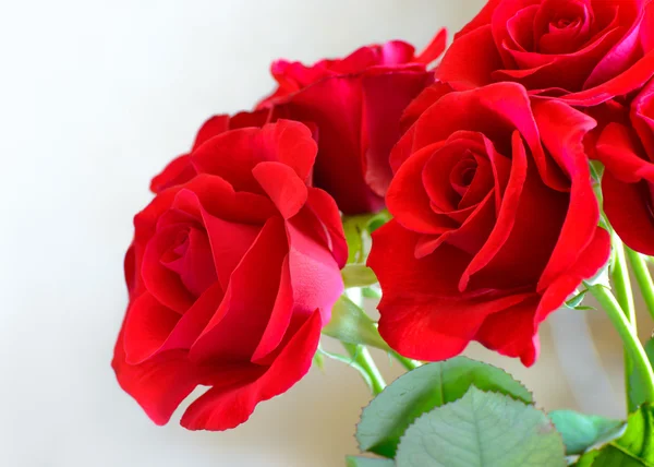 Ramo de hermosas rosas rojas sobre fondo claro. Tarjeta de felicitación para el Día de la Mujer 8 de marzo — Foto de Stock