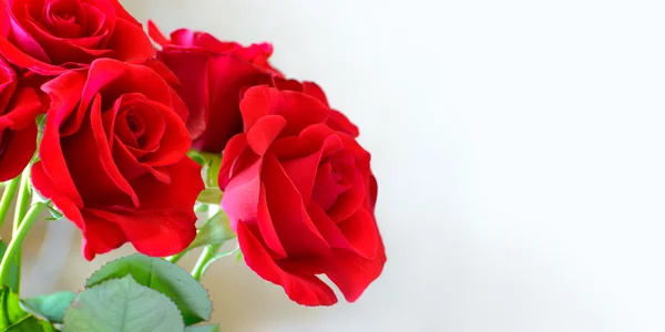 Boeket van mooie rode rozen op lichte achtergrond. Greeting Card voor 8 maart Vrouwendag — Stockfoto