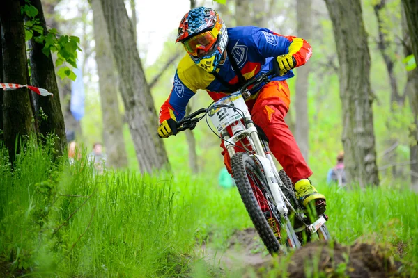 Professional Dh Biker jezdí na horském kole na Trail of Chortycja ostrov během the Iron most konkurence, fáze z kopce ukrajinský pohár — Stock fotografie