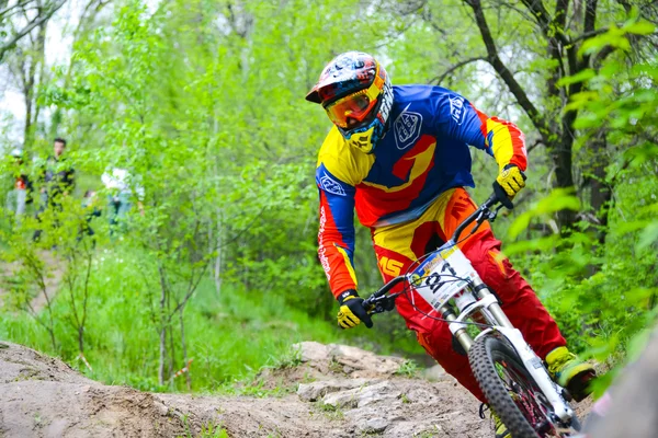 Professional DH Biker sta cavalcando una mountain bike sul sentiero dell'isola di Khortytsya Durante la gara del ponte di ferro, una fase di Coppa Ucraina in discesa Fotografia Stock