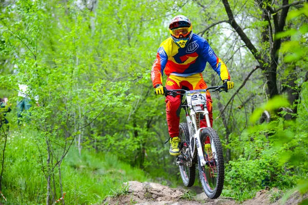 Professional DH Biker sta cavalcando una mountain bike sul sentiero dell'isola di Khortytsya Durante la gara del ponte di ferro, una fase di Coppa Ucraina in discesa Fotografia Stock