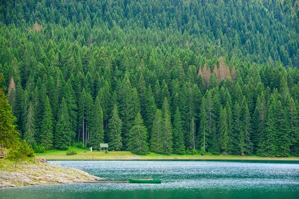 Όμορφη μαύρη λίμνη, δάσος πράσινο και όμορφα βουνά το πρωί. Εθνικό Πάρκο Ντουρμίτορ, Μαυροβούνιο — Φωτογραφία Αρχείου