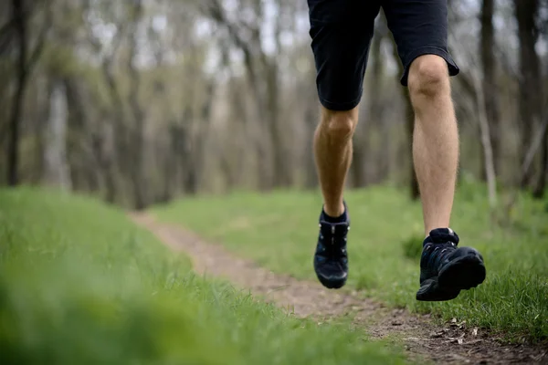 Jovem desportista correndo no Spring Forest Trail de manhã. Pernas Fechar Vista — Fotografia de Stock