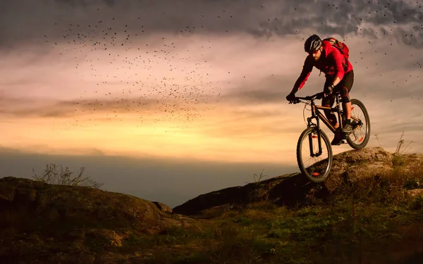 Ciclista en Red Riding Bike en el Camino Rocoso de Otoño al atardecer. Concepto de ciclismo extremo y enduro. — Foto de Stock