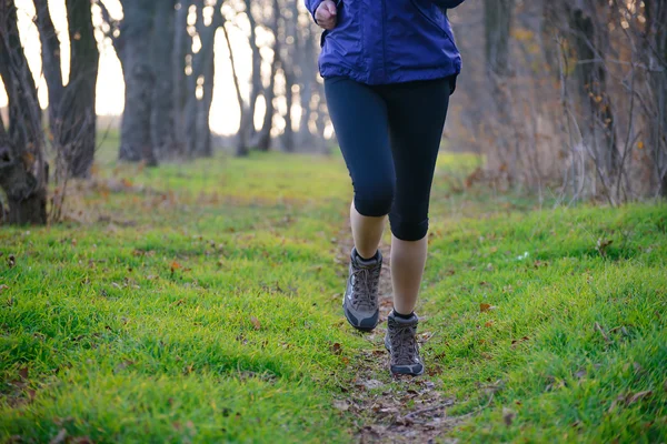 Young Sports Woman Running on the Forest Trail in the Morning — Stock Photo, Image