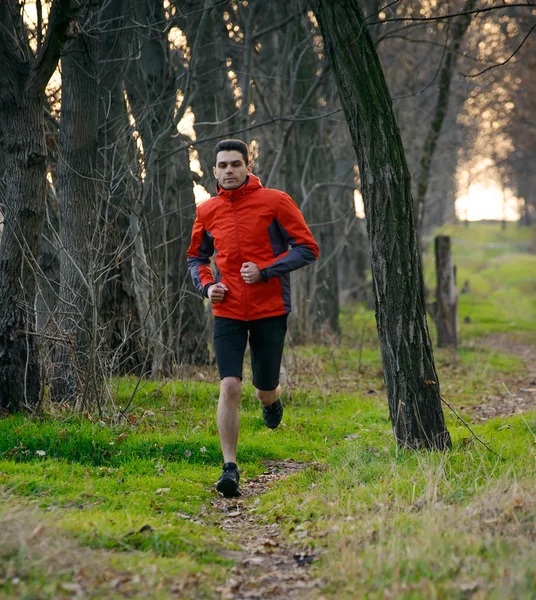 Jonge Man loopt op de Trail in het Wild Forest — Stockfoto