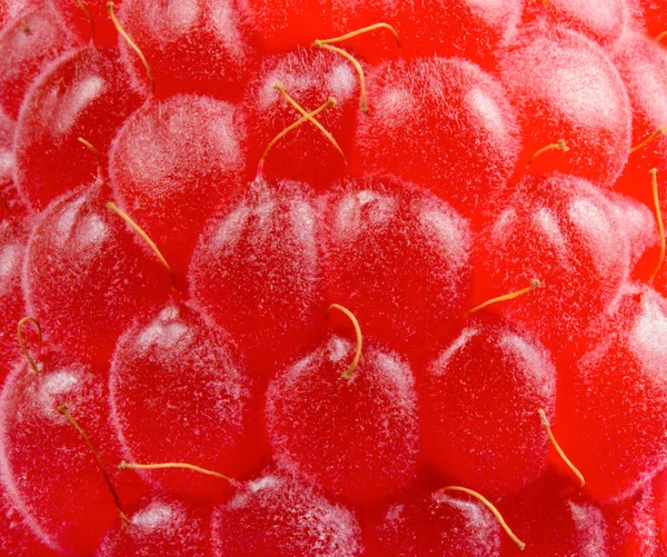 成熟的红色多汁树莓的背景 — 图库照片