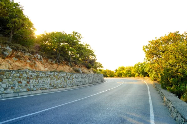 Güzel yeşil yaz ormandaki boş yol — Stok fotoğraf