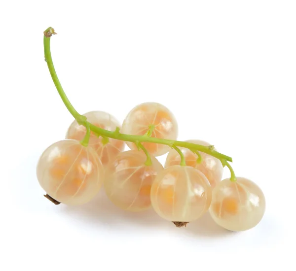 Ripe White Currants Isolated on White Background — Stockfoto