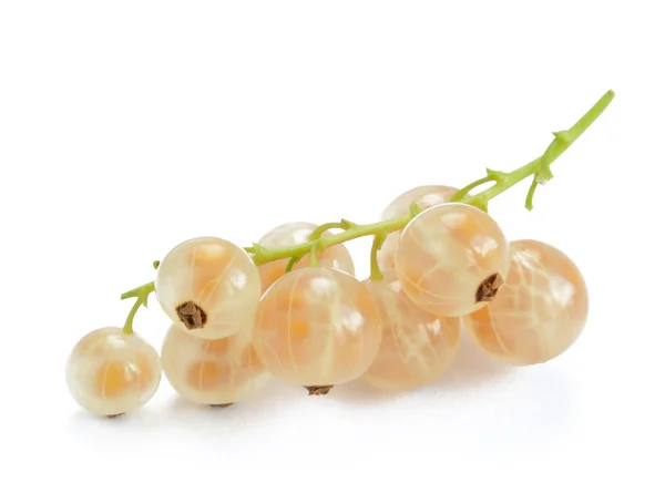 Ripe White Currants Isolated on White Background — Stockfoto