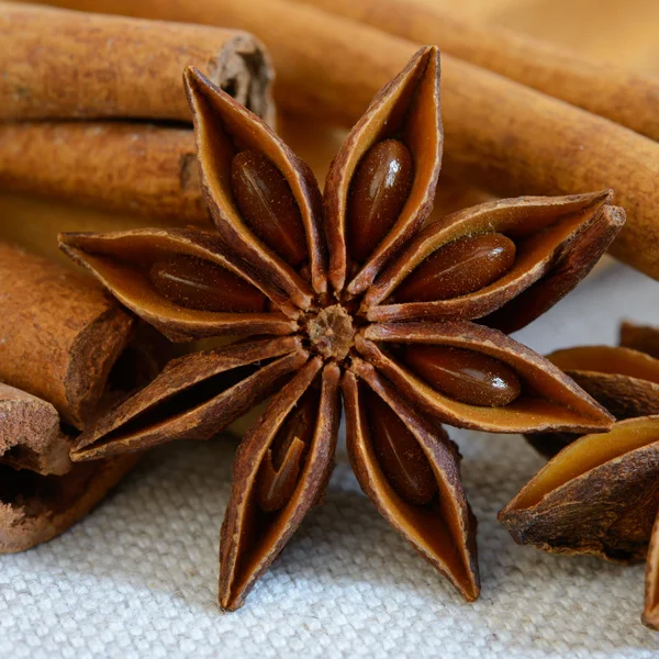 Star Anise and Cinnamon Sticks on Table — Zdjęcie stockowe