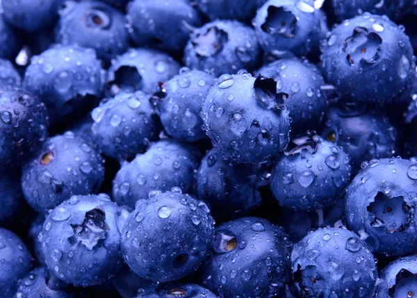 Latar Belakang Fresh Ripe Blueberries Manis Dilindungi dengan Tetesan Air — Stok Foto