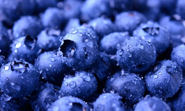 Sfondo di mirtilli dolci freschi maturi ricoperti di gocce d'acqua — Foto Stock