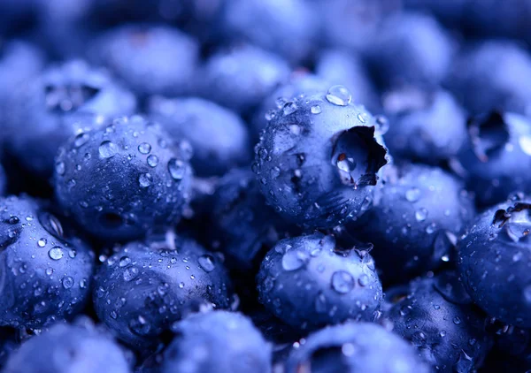 Contexte des bleuets doux mûrs frais recouverts de gouttes d'eau — Photo