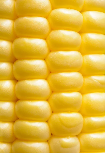 Closeup of Fresh Sweet Ripe Corn Seeds — 스톡 사진