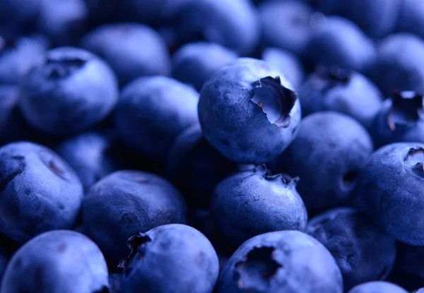 新鲜成熟的甜蓝莓的背景 — 图库照片