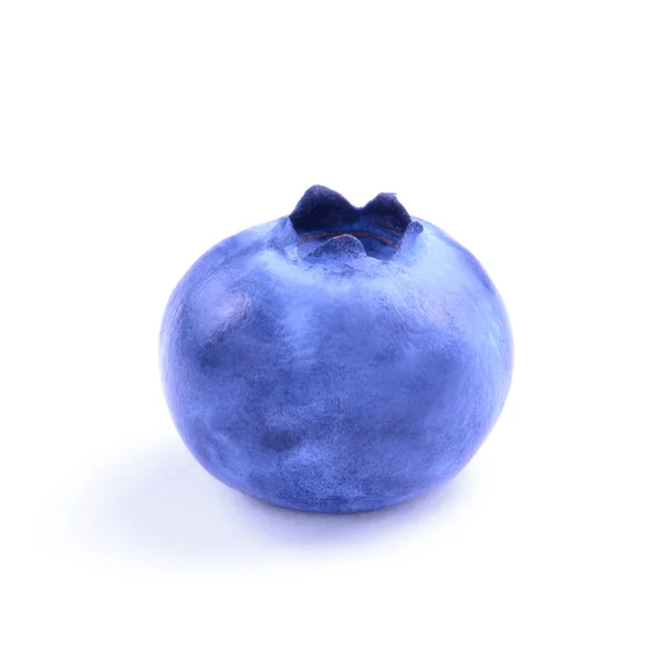 Single Fresh Blueberry Isolated on the White Background — 스톡 사진