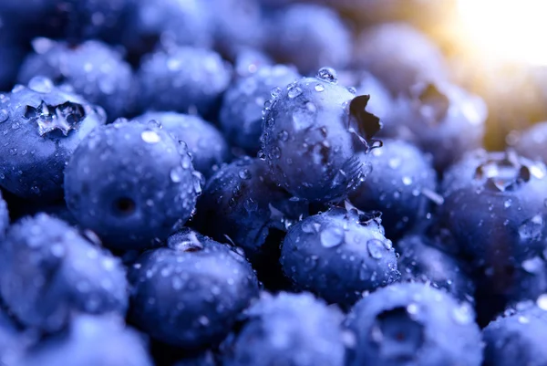 Sfondo di mirtilli dolci freschi maturi ricoperti di gocce d'acqua — Foto Stock