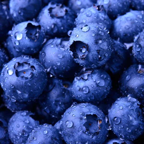 Fondo de arándanos dulces maduros frescos cubiertos con gotas de agua — Foto de Stock