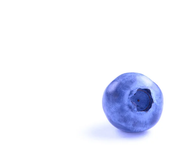 Single Fresh Blueberry Isolated on the White Background — Stockfoto