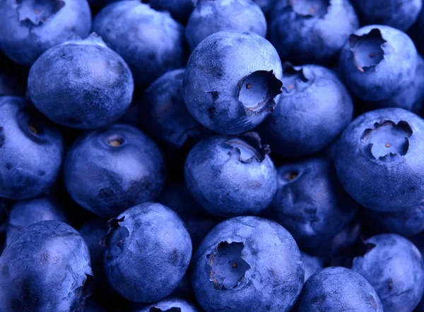 Hintergrund der frischen reifen süßen Blaubeeren — Stockfoto