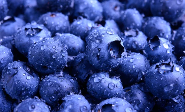 Background of Fresh Ripe Sweet Blueberries Covered with Water Drops — Stock Photo, Image