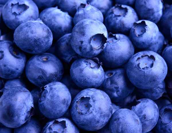新鲜成熟的甜蓝莓的背景 — 图库照片