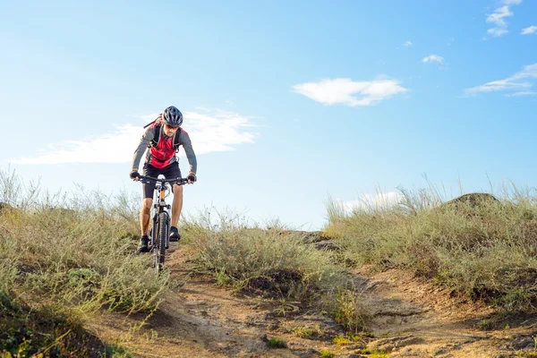 美しい春の山道で自転車に乗るサイクリスト — ストック写真