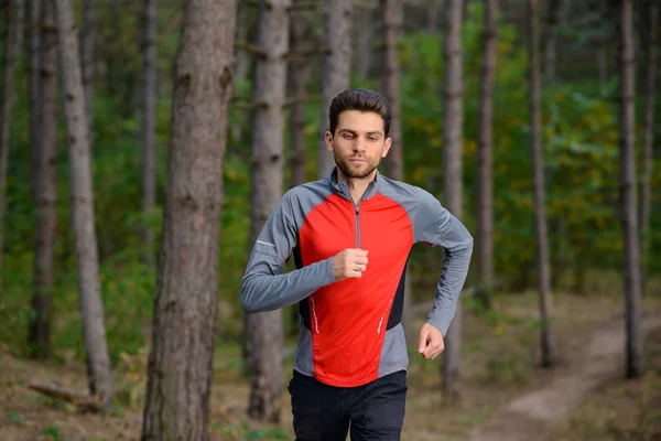 Young Man Running on the Trail in the Wild Pine Forest. Active Lifestyle — Stock fotografie