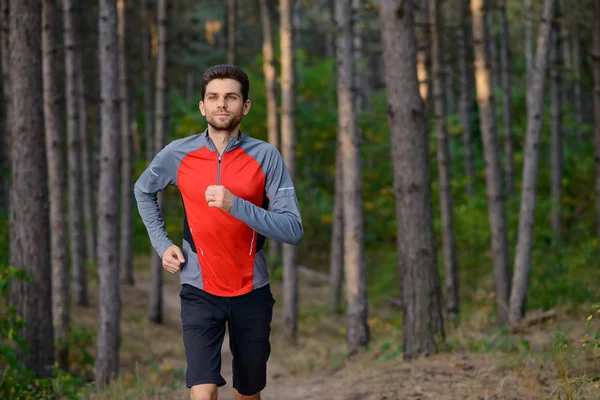 Young Man Running on the Trail in the Wild Pine Forest. Active Lifestyle — Stockfoto