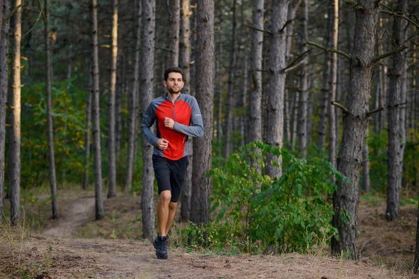 Hombre joven corriendo en el sendero en el bosque de pinos silvestres. Estilo de vida activo — Foto de Stock