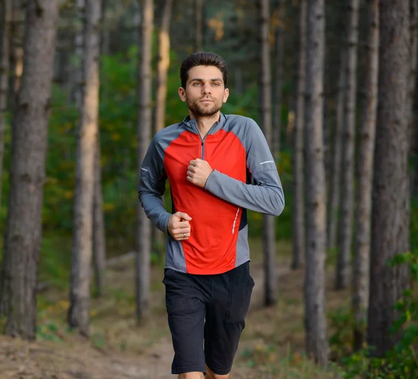 Hombre joven corriendo en el sendero en el bosque de pinos silvestres. Estilo de vida activo —  Fotos de Stock