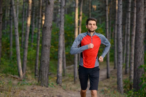 Young Man Running on the Trail in the Wild Pine Forest. Active Lifestyle — стокове фото