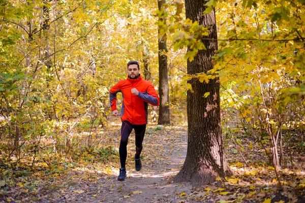 Joven corriendo por el sendero soleado en el hermoso bosque de robles de otoño —  Fotos de Stock