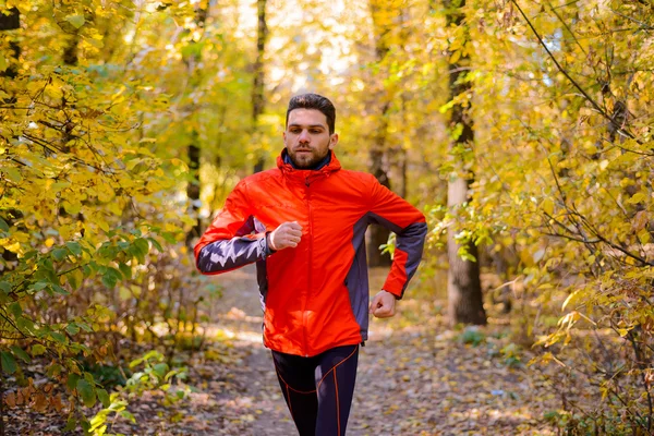 Joven corriendo por el sendero soleado en el hermoso bosque de robles de otoño —  Fotos de Stock