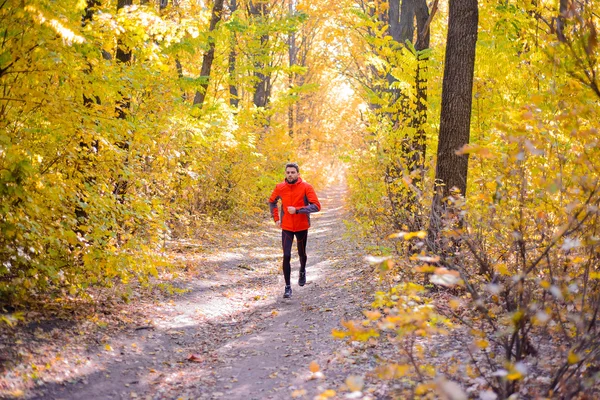 Giovane uomo in esecuzione su Sunny Trail nella bellissima foresta di querce autunnali — Foto Stock